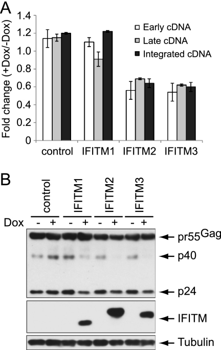 FIG. 6.