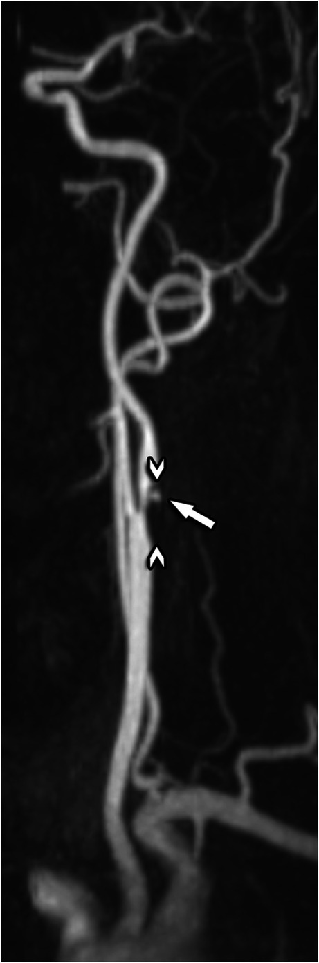 Fig. 9