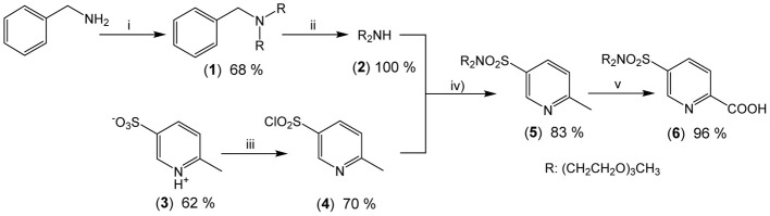 Scheme 2