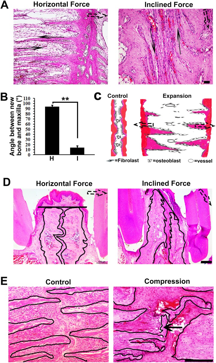 Fig 5