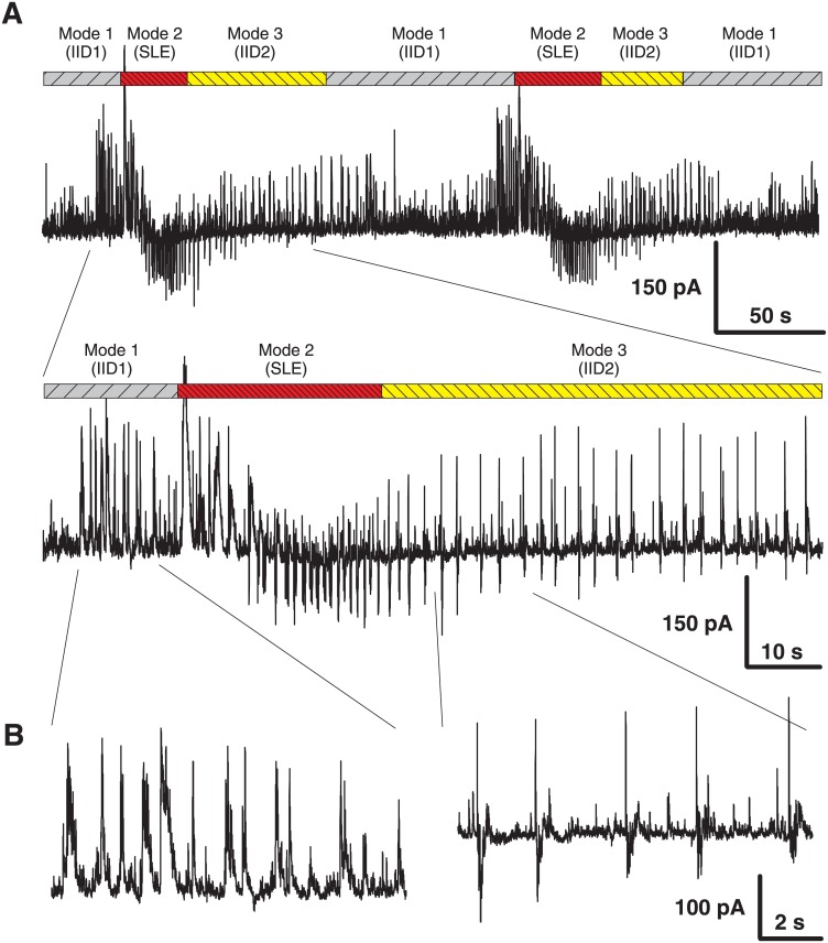 Fig 2