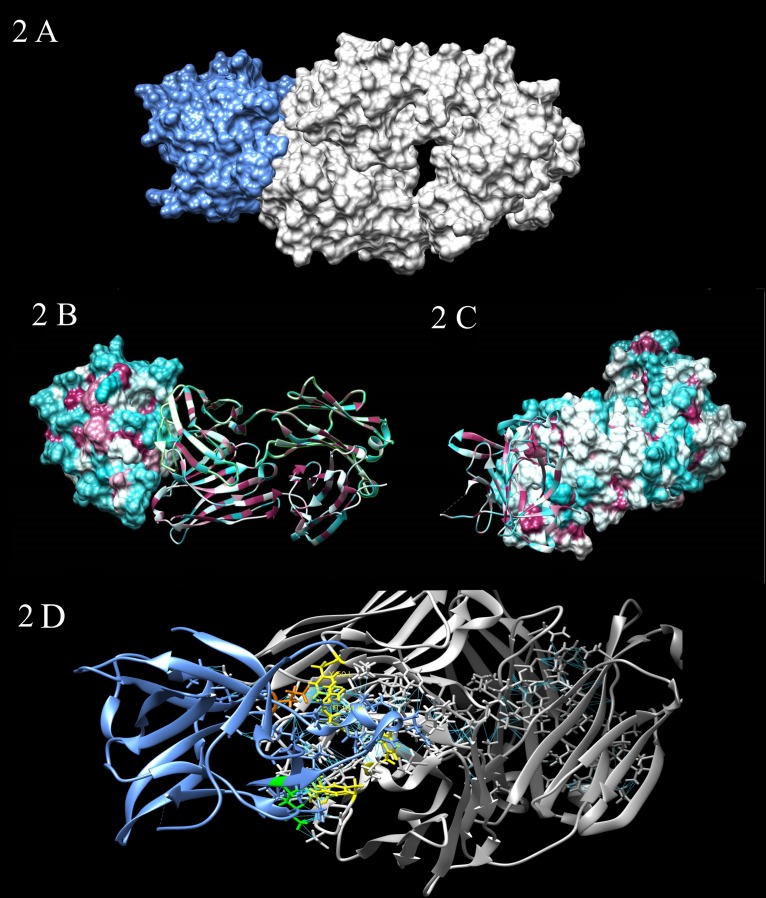 FIGURE 2