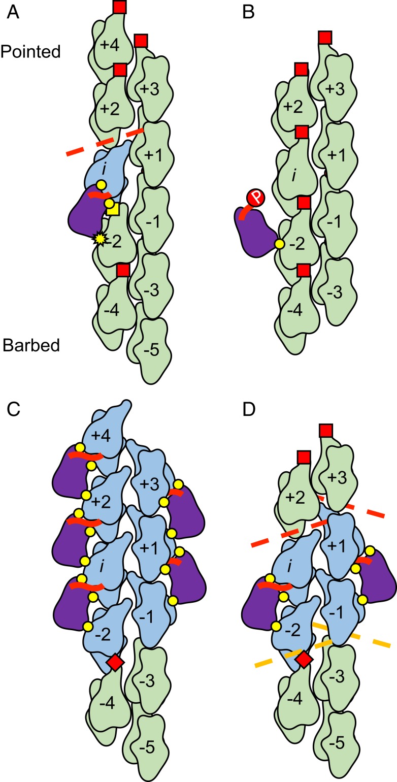 Fig. 4.