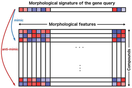 graphic file with name nihms-1835172-f0006.jpg