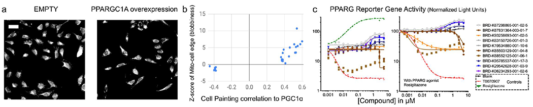 Figure 3: