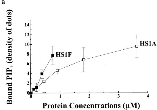 FIG. 6