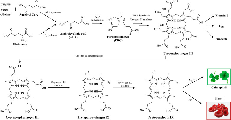 Fig. 7