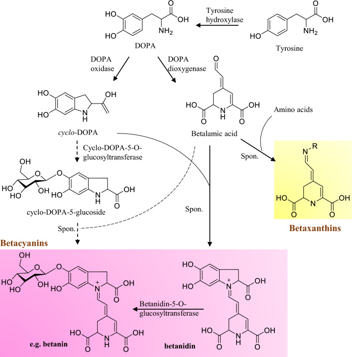 Fig. 11