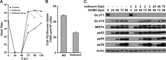 FIG. 6.