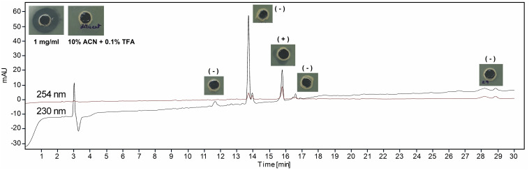 FIGURE 3