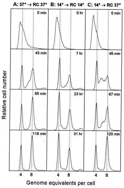 FIG. 3