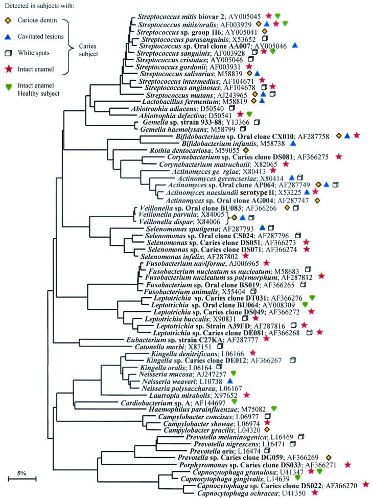 FIG. 3.