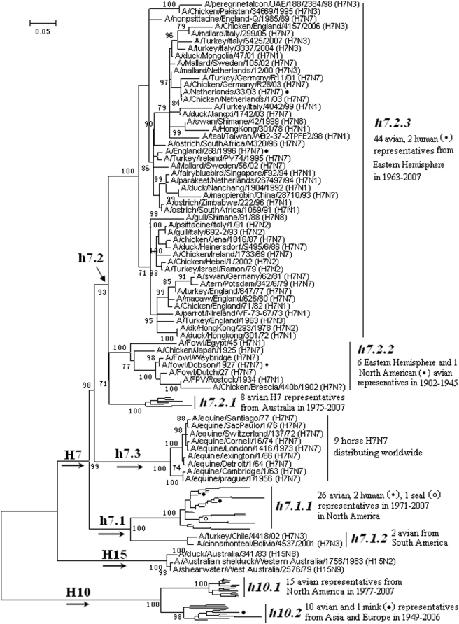 Figure 7