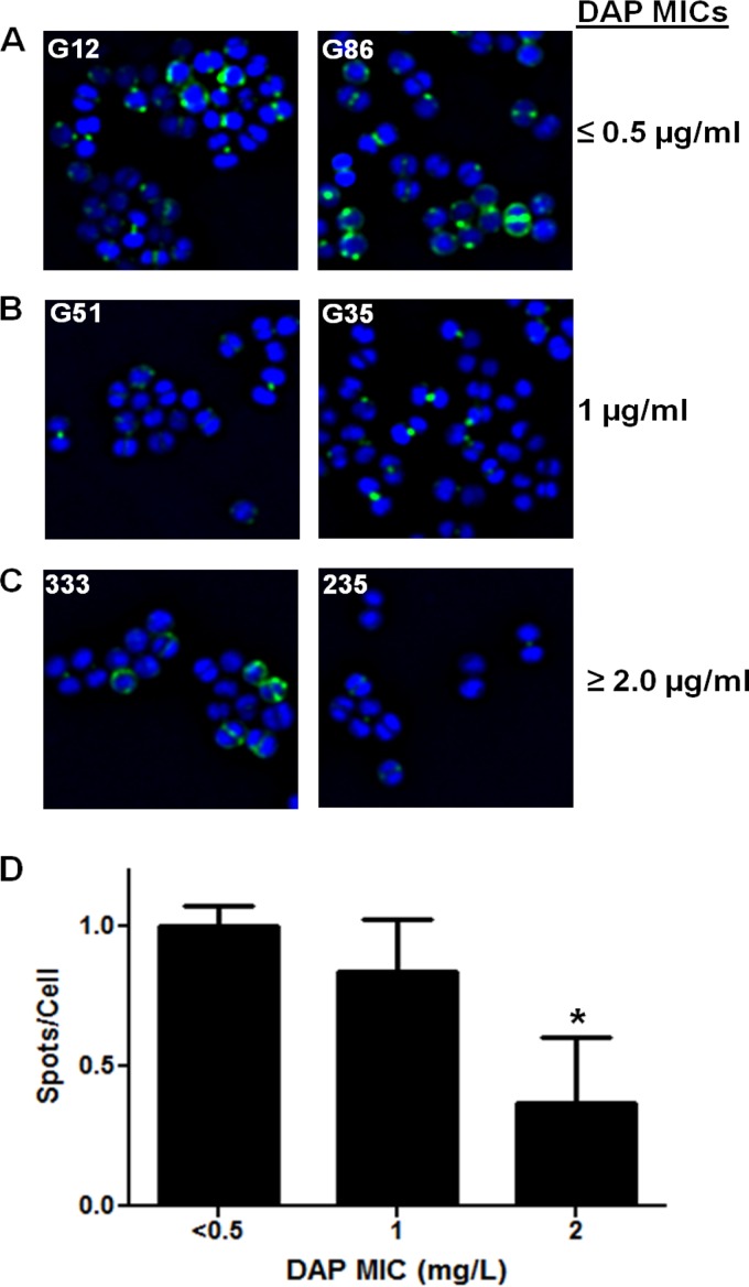 FIG 2