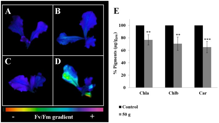 Fig 4