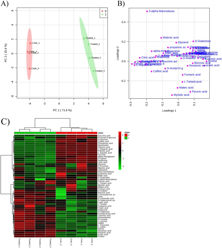 Fig 7