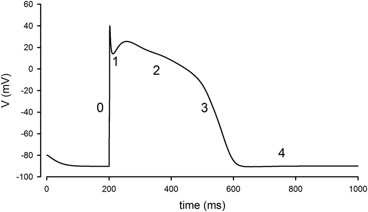 Fig. 1