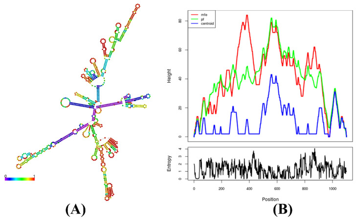 Figure 9