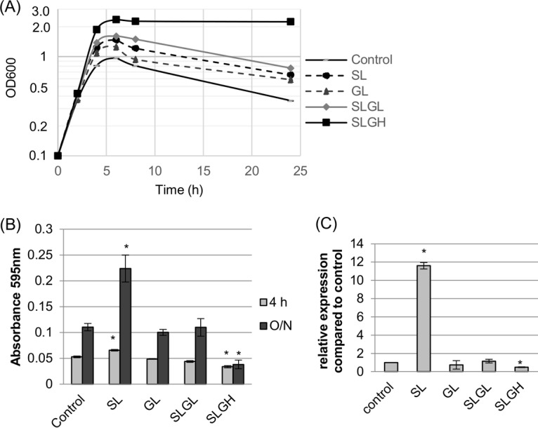 FIG 4