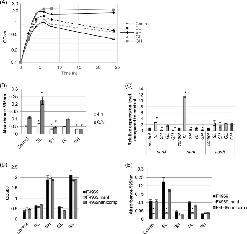 FIG 2