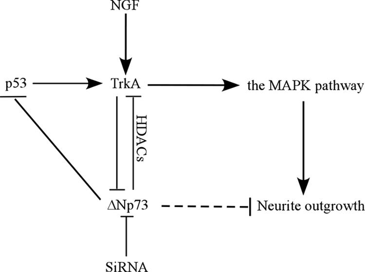 FIG. 9.