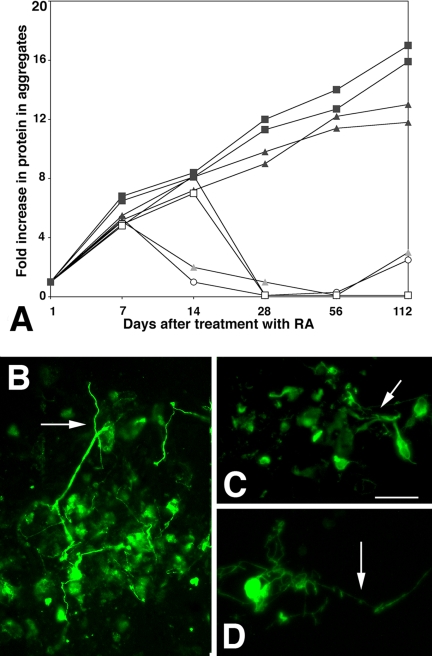 Figure 11.