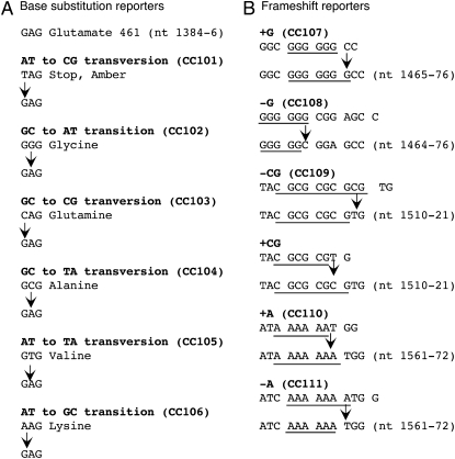 Figure 1.—