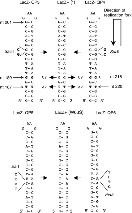 Figure 3.—