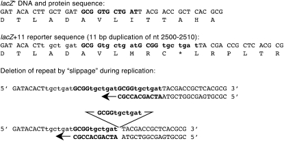 Figure 6.—