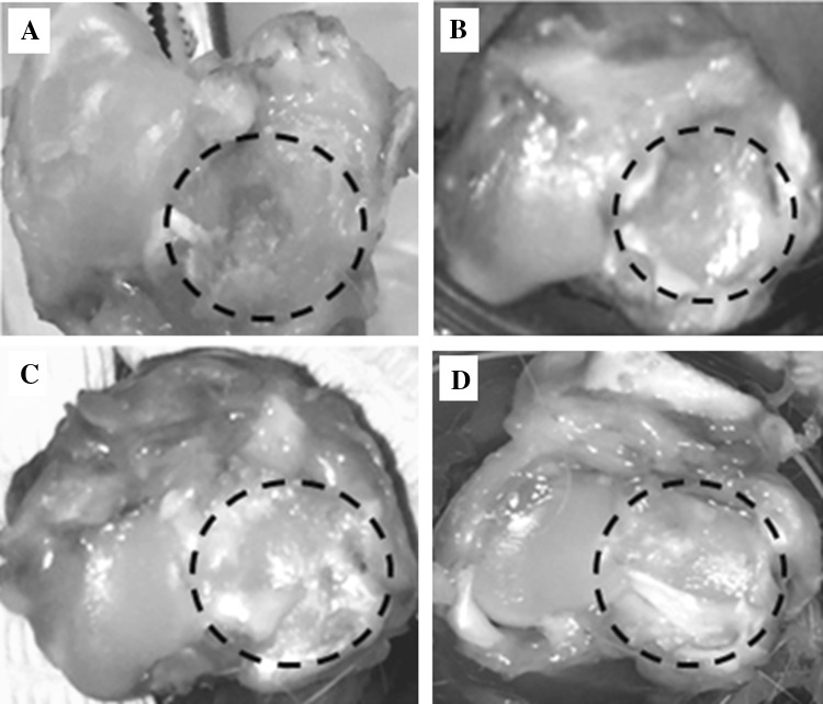 Fig. 2