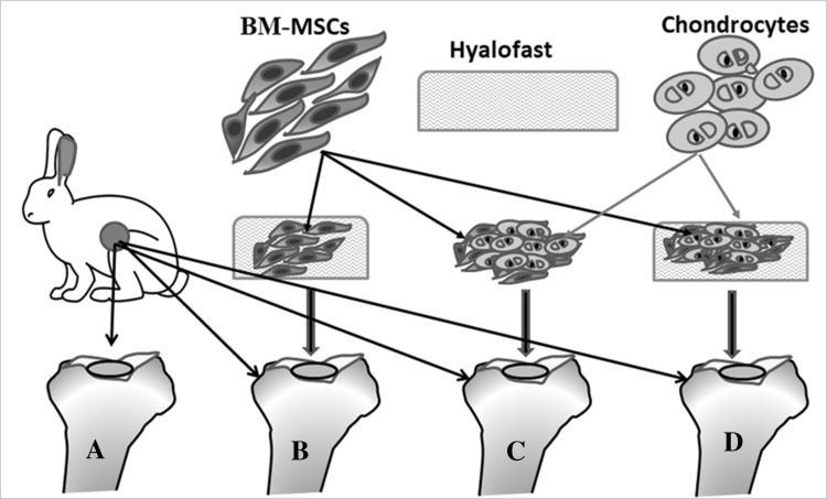 Fig. 1