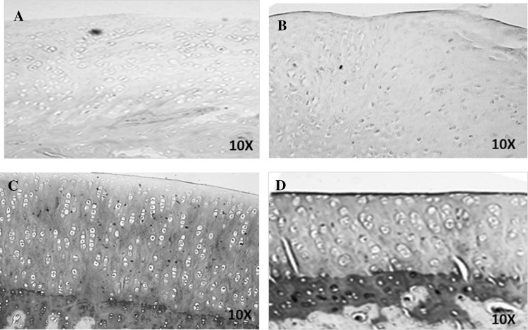 Fig. 4