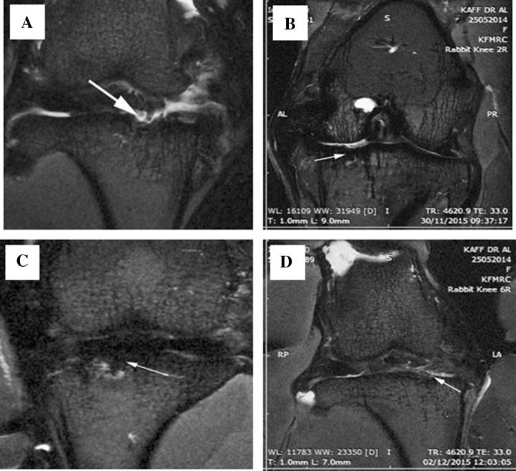 Fig. 6