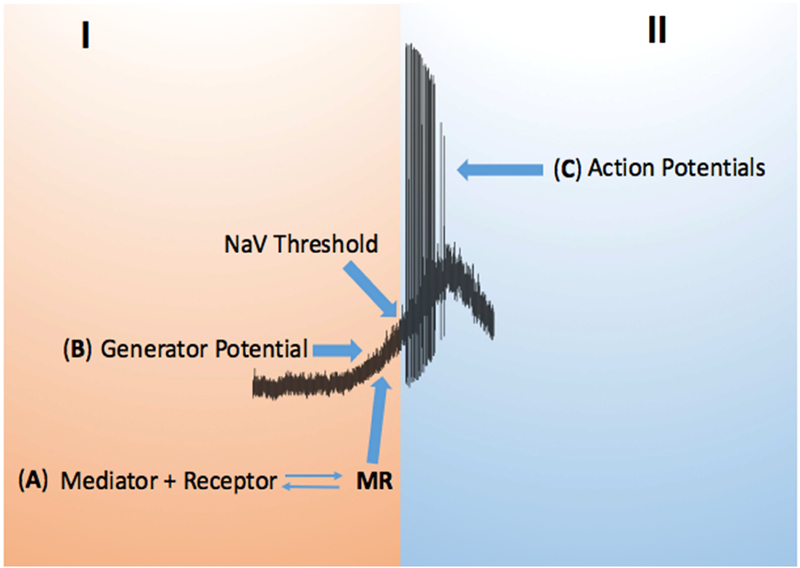 Figure 1: