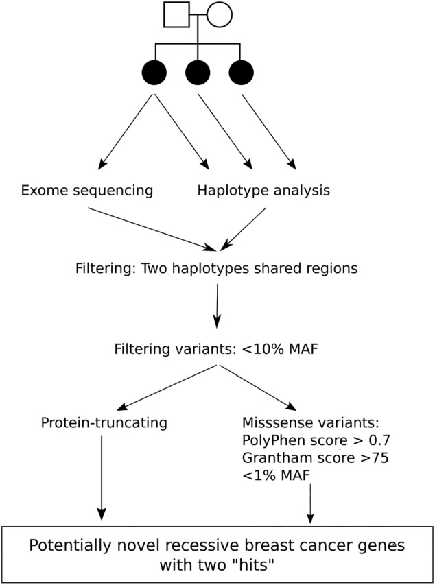 FIGURE 1