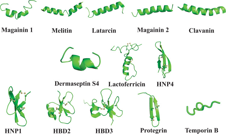 Fig. 2