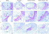 Extended Data Fig. 7 ∣