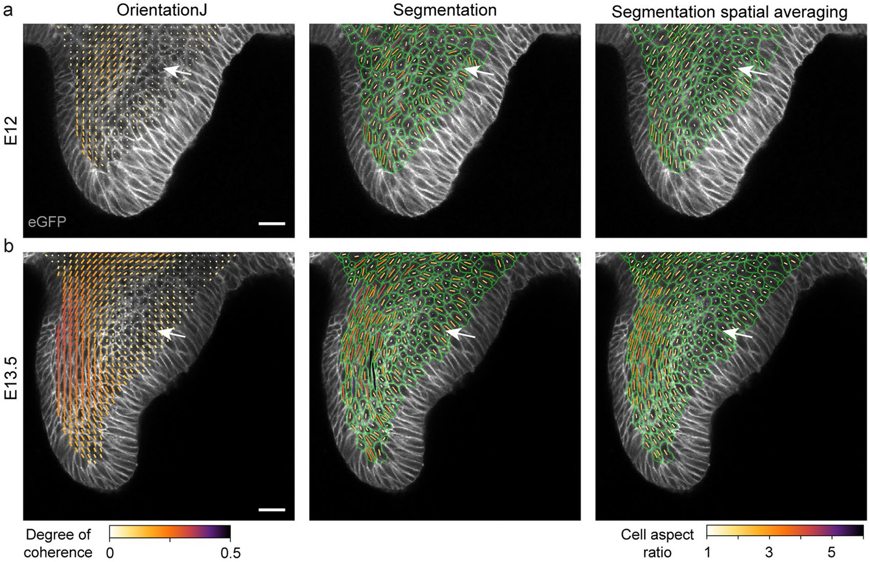 Extended Data Fig. 2 ∣