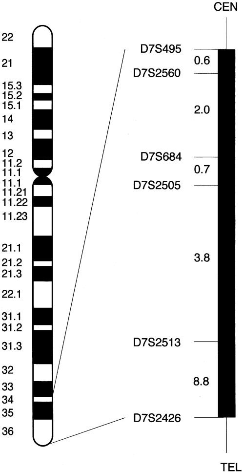 Figure  2