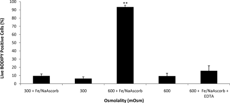 FIG. 6.