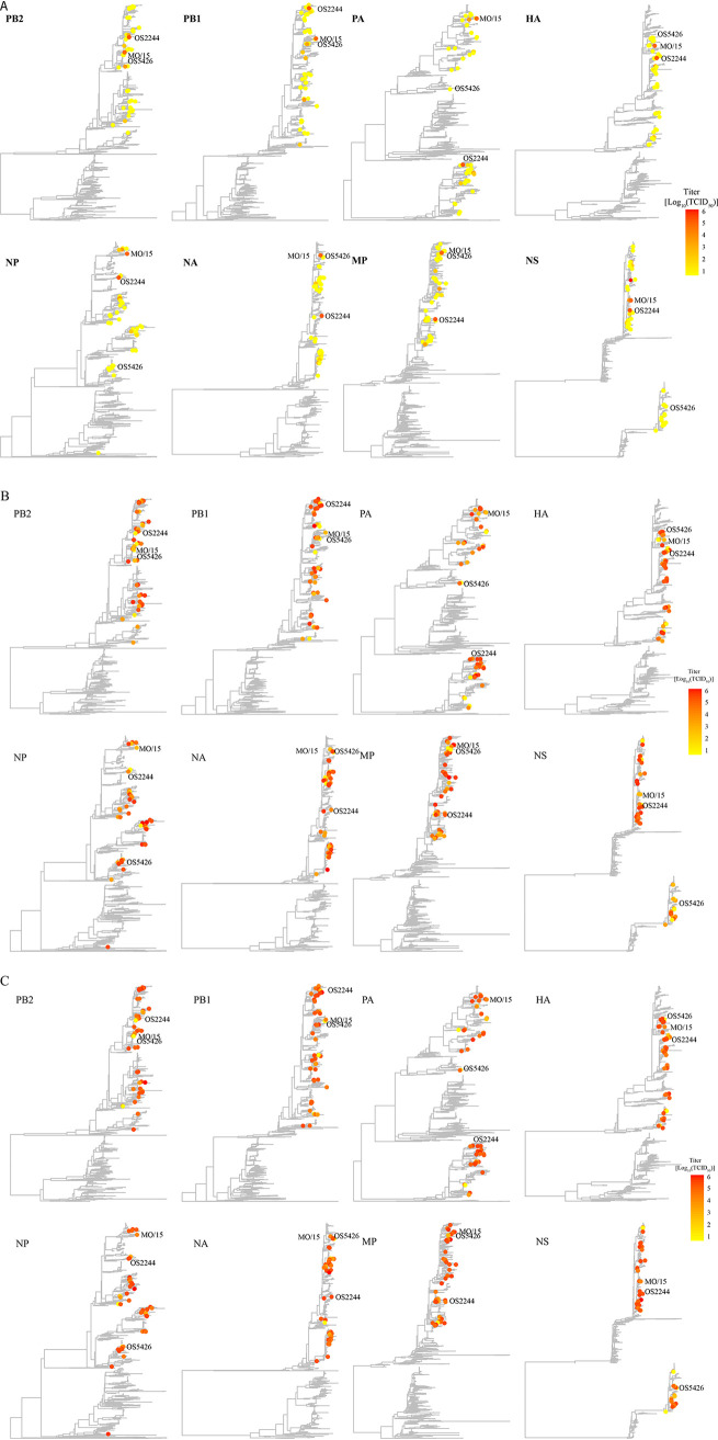 FIG 3