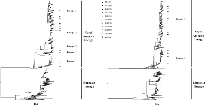 FIG 1