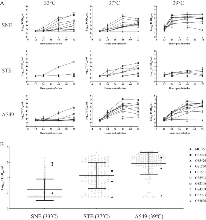 FIG 2