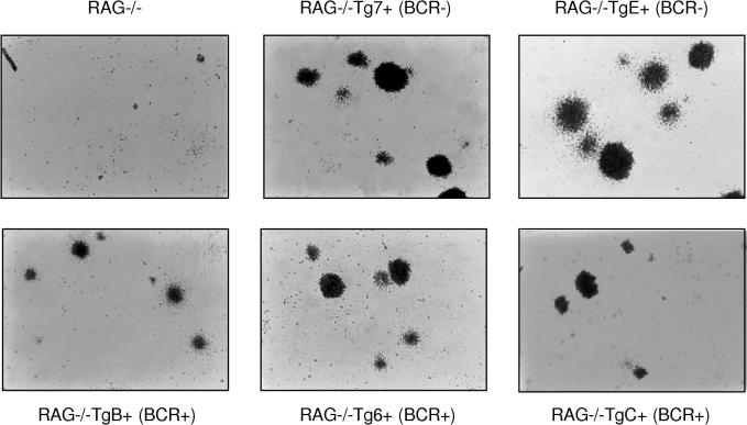 FIG. 9