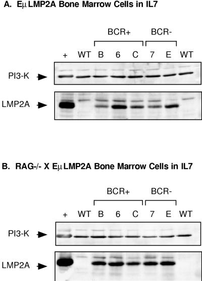 FIG. 10