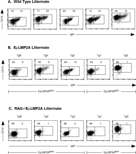 FIG. 11