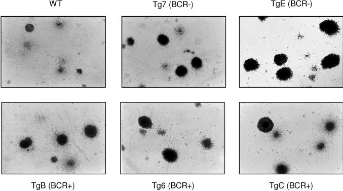 FIG. 8