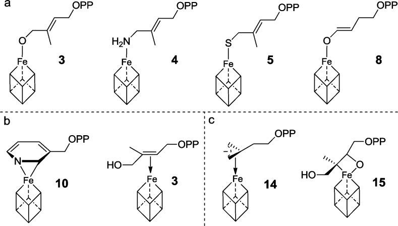 Scheme 4