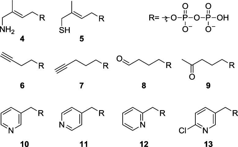 Scheme 2