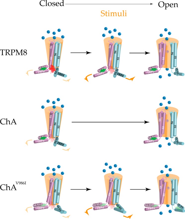 FIGURE 11.